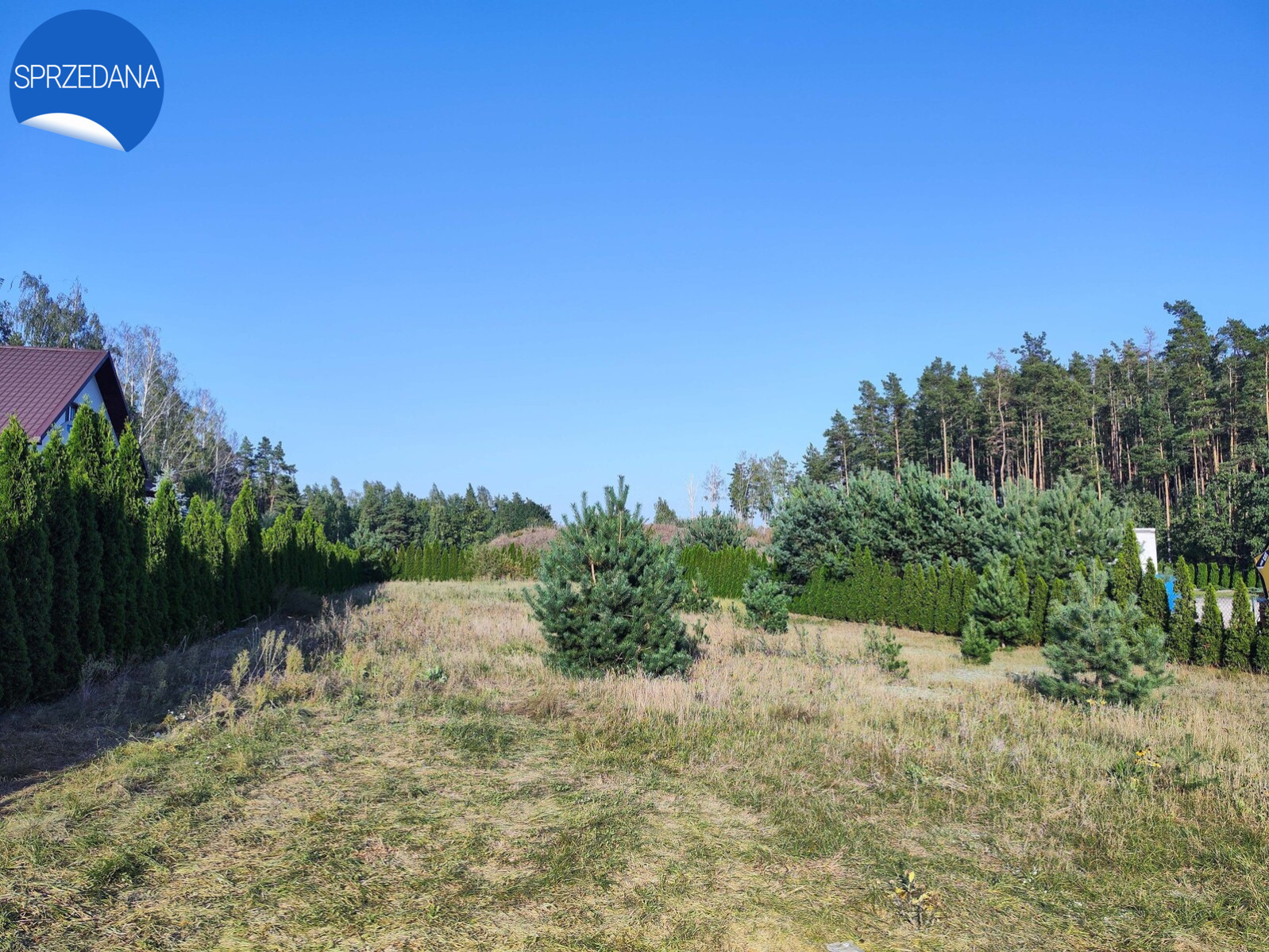 Działka Sprzedaż Augustów 3