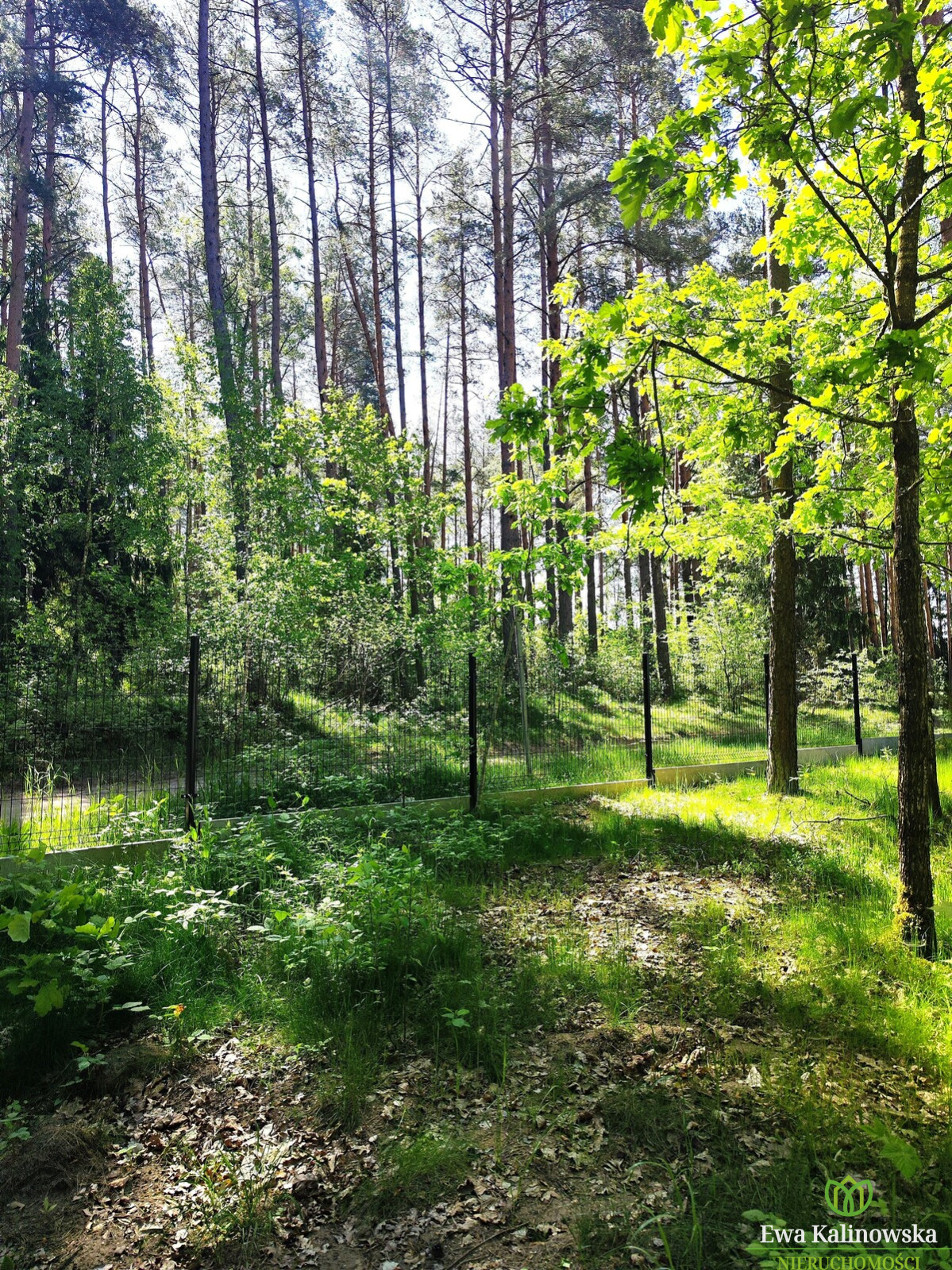 Działka Sprzedaż Augustów 6