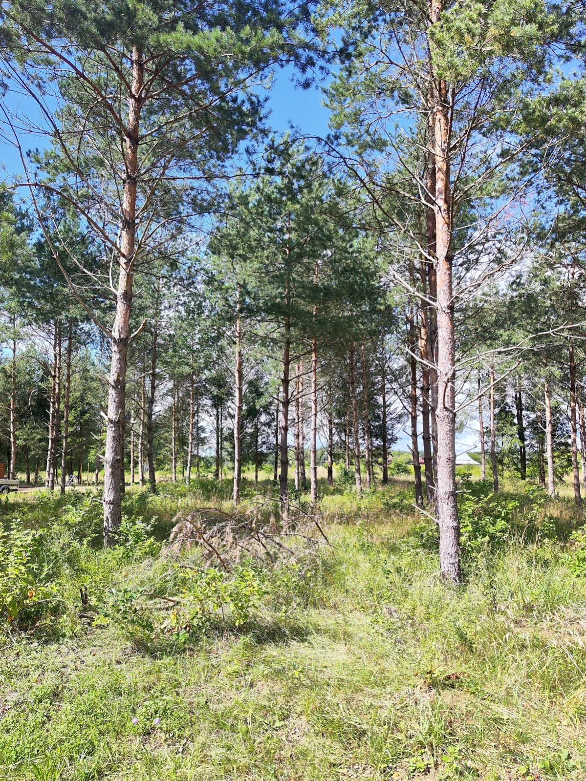 Działka Sprzedaż Płaska 10
