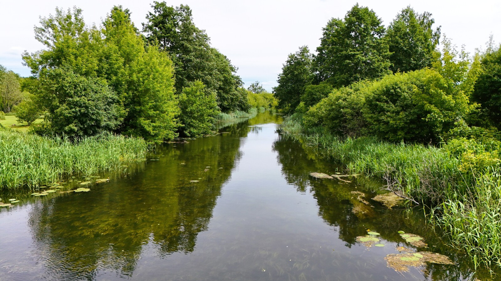 Działka Sprzedaż Białobrzegi 13