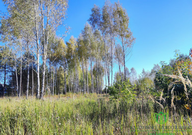 Działka Sprzedaż Serwy