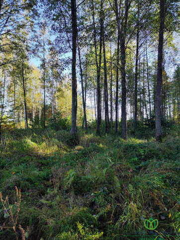 Działka Sprzedaż Serwy 9