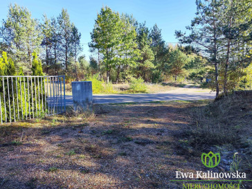 Działka Sprzedaż Serwy