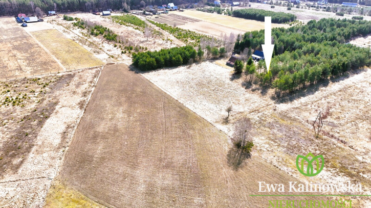 Działka Sprzedaż Płaska 5