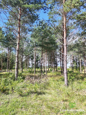 Działka Sprzedaż Płaska 10