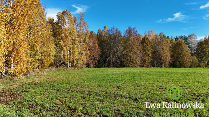 Działka Sprzedaż Augustów 6